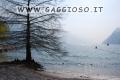 Scorcio del lago di Garda tra Riva e Torbole