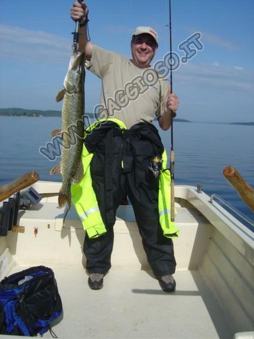 Un bell'esemplare di lucci pescato da Stefano a Vastervik