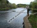 Durante la cattura di un Salmone su un fiume dell'Irlanda