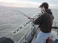 In azione di pesca durante la cattura di uno squalo a San Francisco