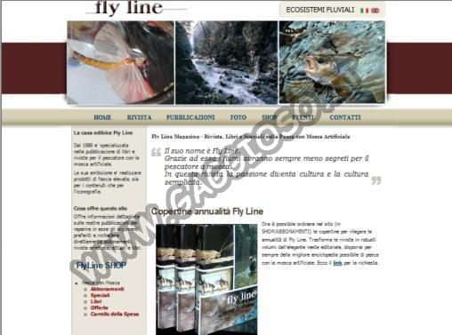Fly Line